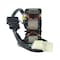 Rmstator Stator for Honda TRX 250 Fourtrax Recon TM TE 1997-2004 & TRX 250 EX Sportrax 2001-2005 RM01309 - alternate 2
